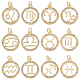 SUNNYCLUE 1 Box 12 Styles Zodiac Charm Rhinestone Zodiac Charms Micro Pave Cubic Zirconia Charms Round Metal Brass Hollow Charm for Jewelry Making Charms Necklaces DIY Necklace Bracelet Earring Crafts KK-SC0003-02-1