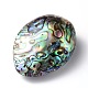 Oval Natural Paua Shell Beads SSHEL-F0008-01-2