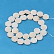 Natural White Shell Beads Strands X-PBB251Y-2-2