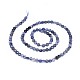 Perles naturelles Iolite brins G-I249-A04-2