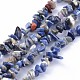 Natural Sodalite Beads Strands G-XCP0006-09-1