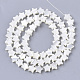 Chapelets de perles de coquille de trochid / trochus coquille SHEL-T013-007A-01-2