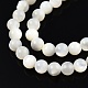 Brins de perles de coquillage blanc naturel SSHEL-N003-144D-01-3