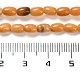 Brins de perles de dolomite naturelles G-F765-A02-01-5