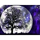 Наборы алмазной живописи «Дерево и луна» своими руками DIAM-PW0009-43-1
