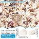 Nbeads 15 Styles Natural Shell Display Decorations FIND-NB0003-18-2