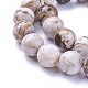 Natural America Petrified Wood Beads Strands G-P430-08-E-3