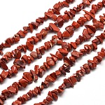 Hebras de cuentas de chip de jaspe rojo natural, 5~8x5~8mm, agujero: 1 mm, alrededor de 31.5 pulgada