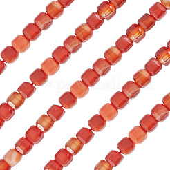 1 filo di perline di agata rossa naturale a strisce/agata striata&nbsp;G-TA0003-36