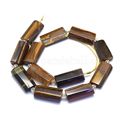 Brins d'oeil de tigre naturelles&nbsp;G-E530-16K