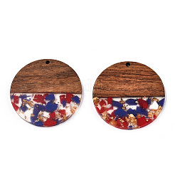 Pendentifs en résine transparente et bois de noyer&nbsp;RESI-TAC0017-75-A08