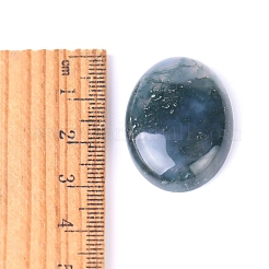 Naturali indian agata cabochon&nbsp;PW-WG8E62B-04