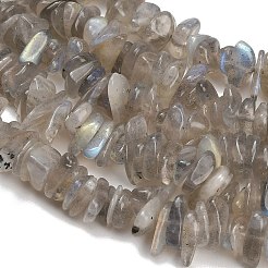 Perline labradorite naturale fili&nbsp;GG-CBAC61B-C06-01