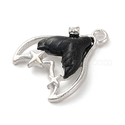 Подвески из смолы из сплава&nbsp;FIND-Q116-02S-04