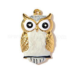 Подвески из нержавеющей стали 304 с эмалью&nbsp;STAS-OY003-02G