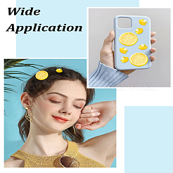 Кабошоны из смолы 20шт 2 стиля&nbsp;RESI-LP0001-09