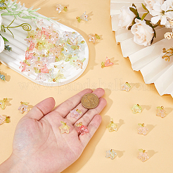 Подвески из акрила и жемчуга-ракушки&nbsp;PALLOY-FH00052