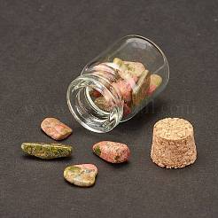 Украшение бутылки желаний прозрачное стекло&nbsp;DJEW-A001-01C-21