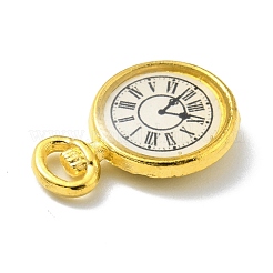 Подвески из эмали и сплава&nbsp;FIND-G020-A01-G