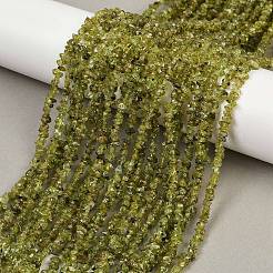 Природный перидот бисер нитей G-P332-48-02