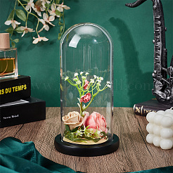 Стеклянные крышки купола cloche&nbsp;AJEW-WH0696-225A-01