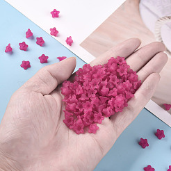 Прозрачные акриловые бусины&nbsp;X-PL554-04