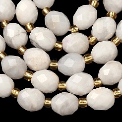 Натуральные белые сумасшедшие агатовые бусины&nbsp;G-F809-A54-01