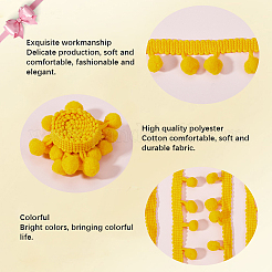 Polyester-Pompon-Ball-Quastenbänder&nbsp;DIY-WH20011-48B