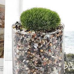 Бусины из натурального смешанного драгоценного камня&nbsp;X-G-J402-01A