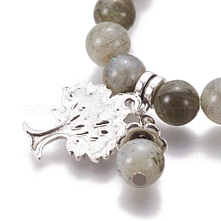 Gioielli chakra&nbsp;BJEW-I273-A04
