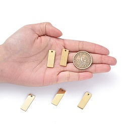 Placcatura ionica (ip) ciondoli in acciaio inossidabile 304&nbsp;LS-STAS-I140-22B-A