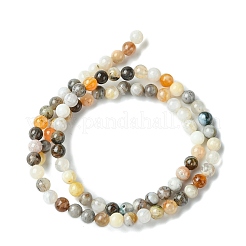 Натурального бамбука листьев агат круглых бусин пряди&nbsp;G-M248-4mm-04