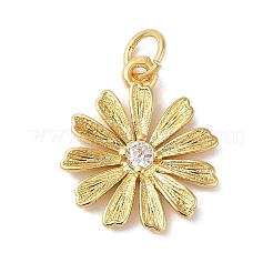 Pendenti in ottone con placcatura a cremagliera e zirconi cubici&nbsp;X-KK-L216-056G