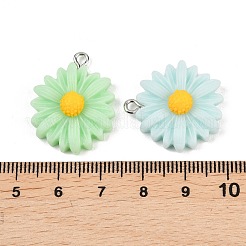 Подвески из непрозрачной смолы 10 шт.&nbsp;RESI-L051-01P