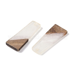 Подвески из смолы и дерева&nbsp;WOOD-F015-04D