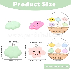 Подвески из непрозрачной смолы 30 шт.&nbsp;RESI-YW0005-31