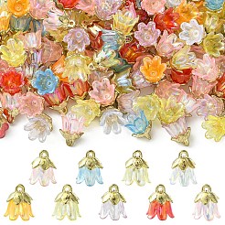 20 шт. акриловые цветочные подвески&nbsp;TACR-YW0003-18A