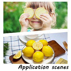 22 шт. 3 стиля пластиковая имитация лимона&nbsp;DJEW-AR0001-15B