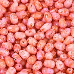 Picasso-Glasperlen&nbsp;SEED-N012-10A
