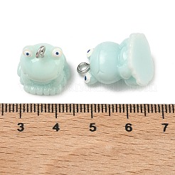 Undurchsichtige Harzanhänger&nbsp;RESI-A051-01P-10