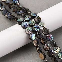 Природные пауа бусы нити&nbsp;BSHE-ZX006-09C