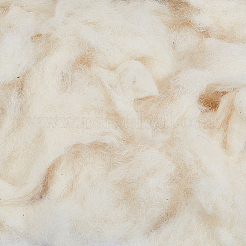 100 g Wollroving&nbsp;DIY-CY0002-75