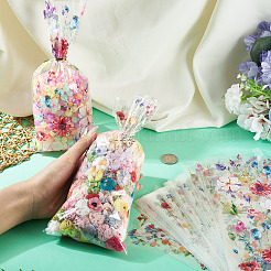 100 Stück Plastiktüten für Kekse und Süßigkeiten&nbsp;ABAG-TA0002-07B