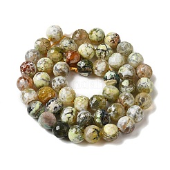 Нити окрашенных и нагретых натуральных агатовых бус с огненным кракелюром&nbsp;G-P539-C01-03