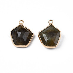 Природные подвески лабрадорита&nbsp;G-S359-381