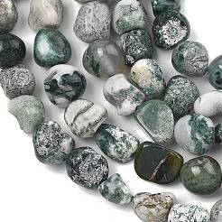 Натурального дерева агат бисер нитей&nbsp;G-D362-A01