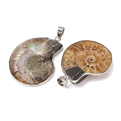 Fossil Anhänger&nbsp;X-G-D051-1