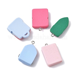 10шт 10 стиля подвески из смолы&nbsp;RESI-FP0001-27