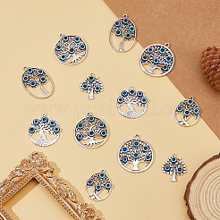 12 pièces 6 styles pendentifs en alliage de style tibétain&nbsp;FIND-FH0009-09