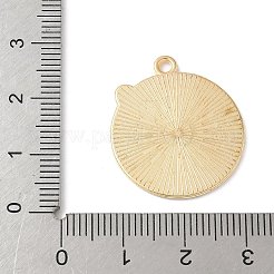 Подвески из эмали и сплава&nbsp;FIND-H047-04G-01